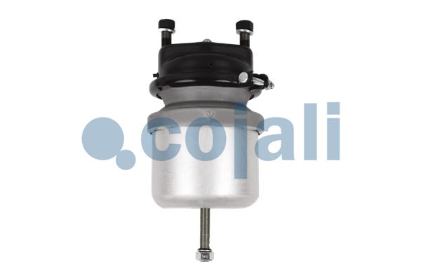 Cojali Veeraccumulator remcilinder 2351309