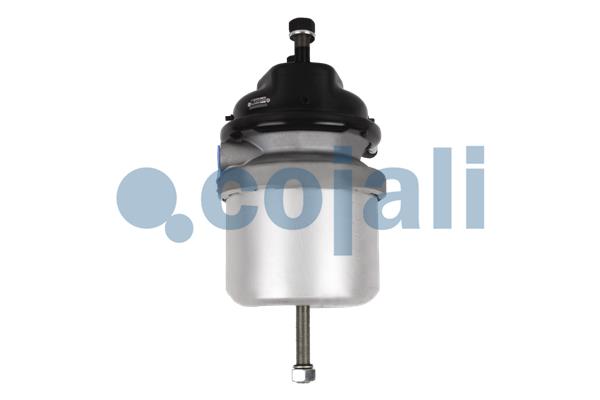 Cojali Veeraccumulator remcilinder 2351309