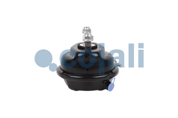 Cojali Remcilindermembraan 2351310