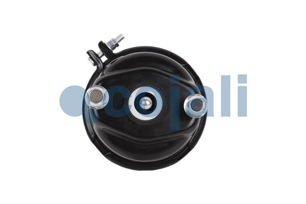 Cojali Remcilindermembraan 2351310