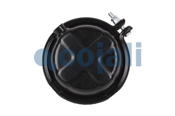 Cojali Remcilindermembraan 2351310