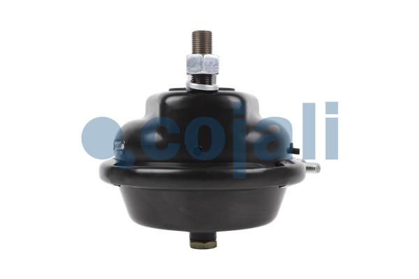 Cojali Remcilindermembraan 2351311