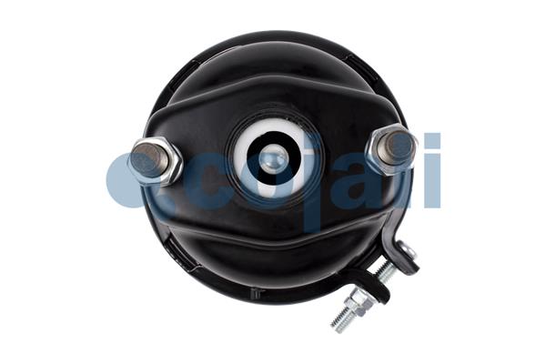 Cojali Remcilindermembraan 2351311