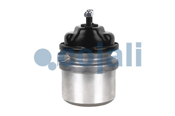 Cojali Veeraccumulator remcilinder 2351312