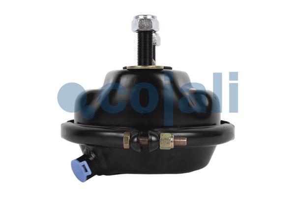 Cojali Remcilindermembraan 2351316