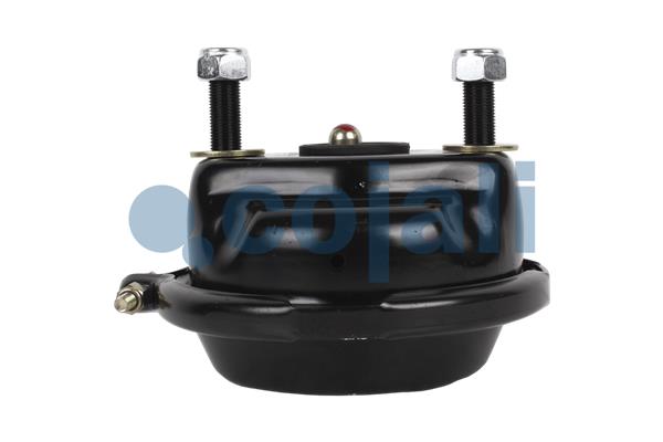 Cojali Remcilindermembraan 2351316