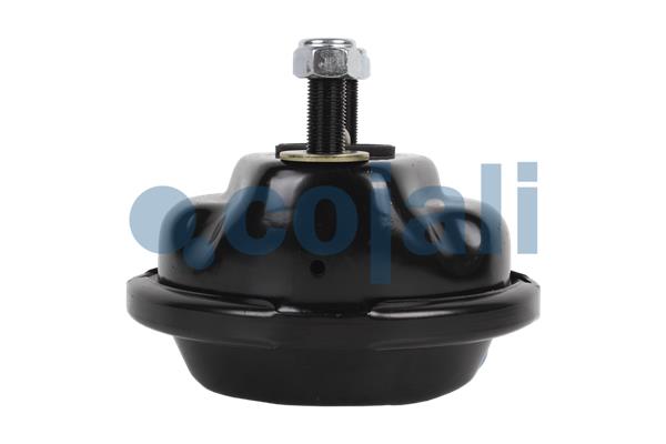 Cojali Remcilindermembraan 2351316