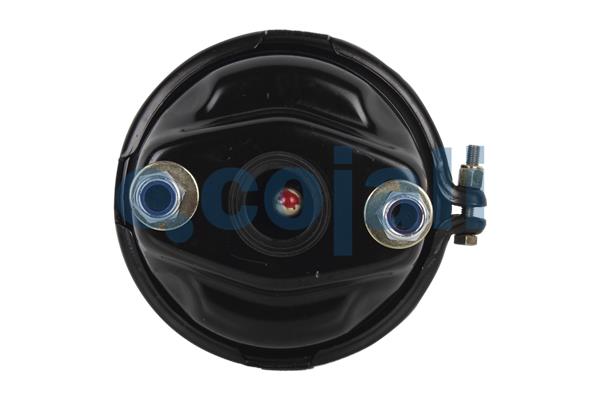 Cojali Remcilindermembraan 2351316