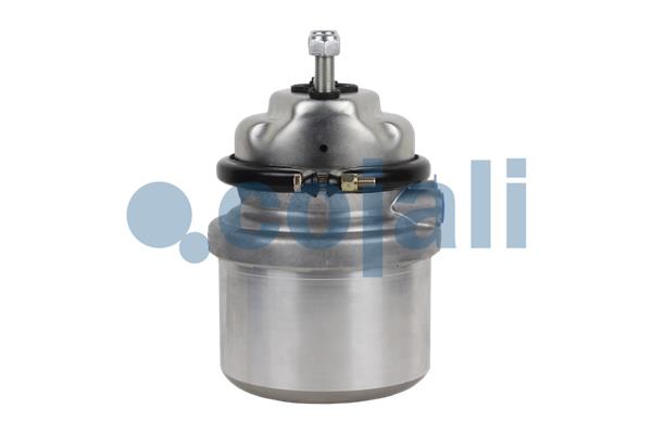 Cojali Veeraccumulator remcilinder 2351317