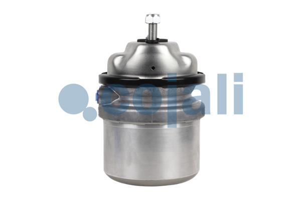 Cojali Veeraccumulator remcilinder 2351318