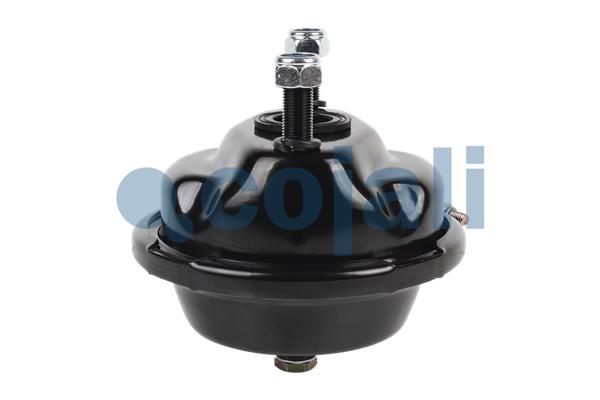 Cojali Remcilindermembraan 2351322