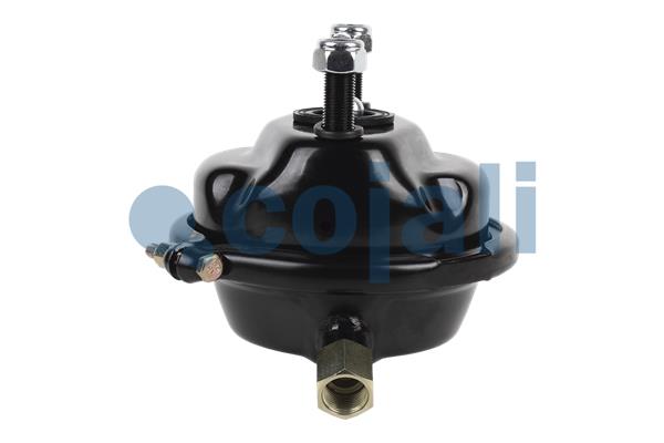 Cojali Remcilindermembraan 2351322