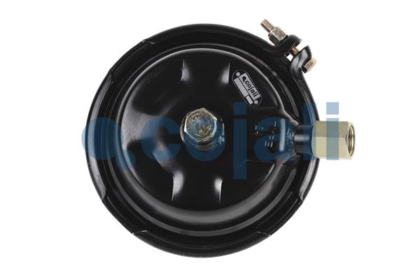 Cojali Remcilindermembraan 2351322