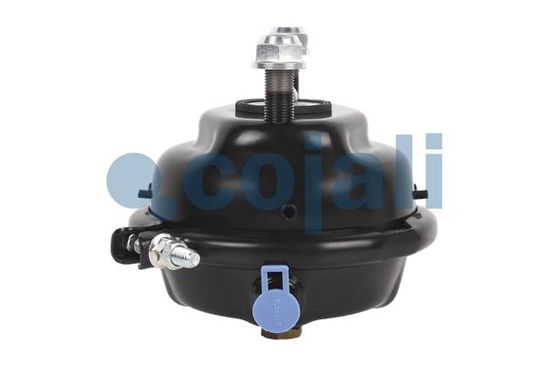 Cojali Remcilindermembraan 2351325