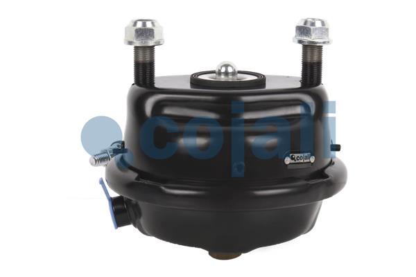 Cojali Remcilindermembraan 2351325