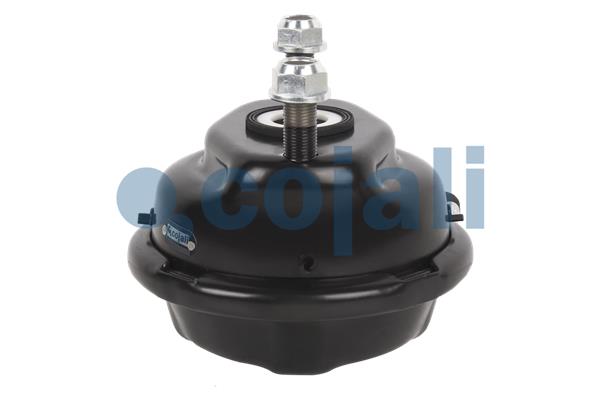 Cojali Remcilindermembraan 2351325