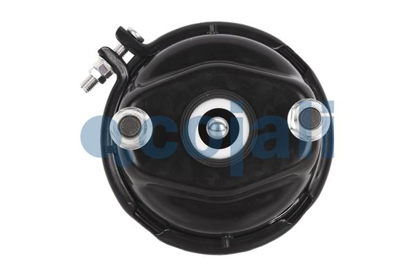 Cojali Remcilindermembraan 2351325