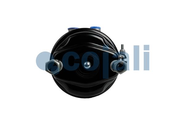 Cojali Veeraccumulator remcilinder 2351327