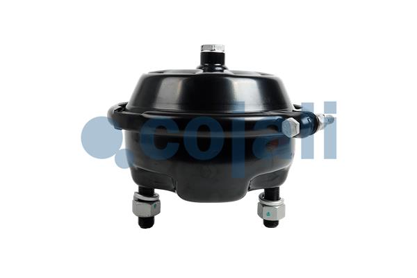 Cojali Remcilindermembraan 2351329