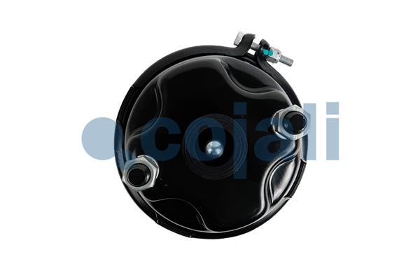 Cojali Remcilindermembraan 2351329