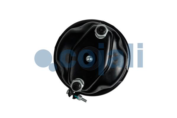 Cojali Remcilindermembraan 2351331