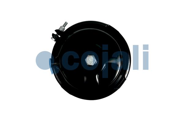 Cojali Remcilindermembraan 2351331