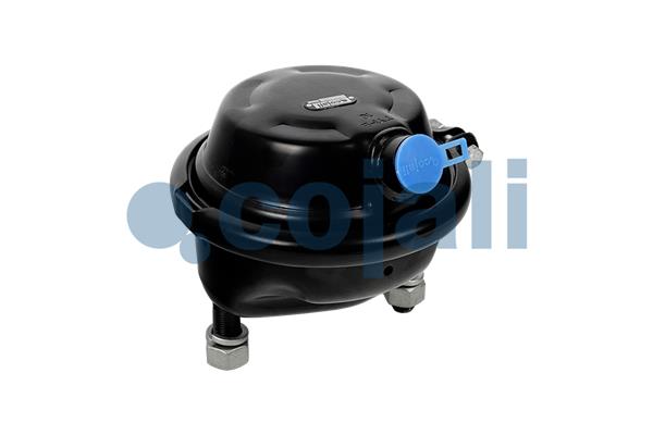 Cojali Remcilindermembraan 2351332