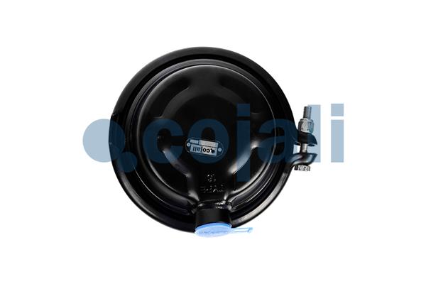 Cojali Remcilindermembraan 2351332