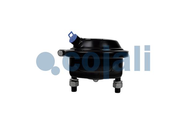 Cojali Remcilindermembraan 2351333