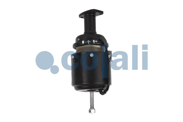 Cojali Veeraccumulator remcilinder 2351402