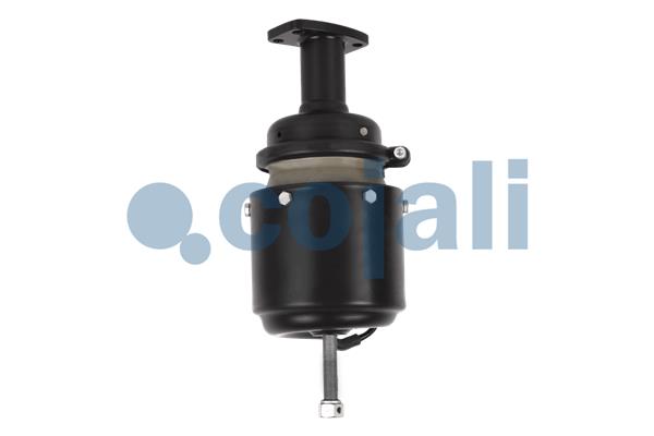 Cojali Veeraccumulator remcilinder 2351402