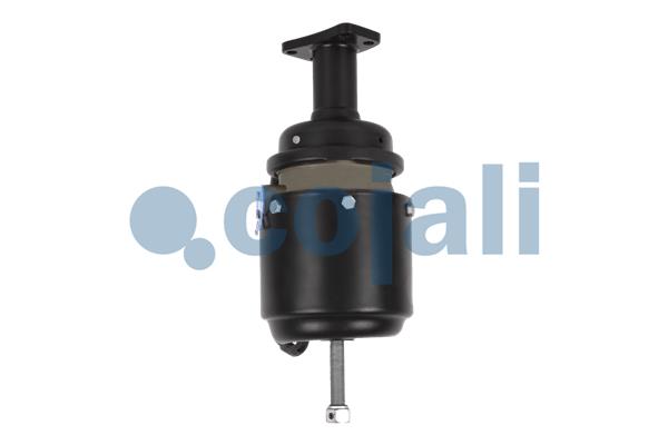 Cojali Veeraccumulator remcilinder 2351402