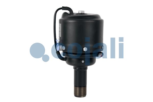 Cojali Veeraccumulator remcilinder 2351404