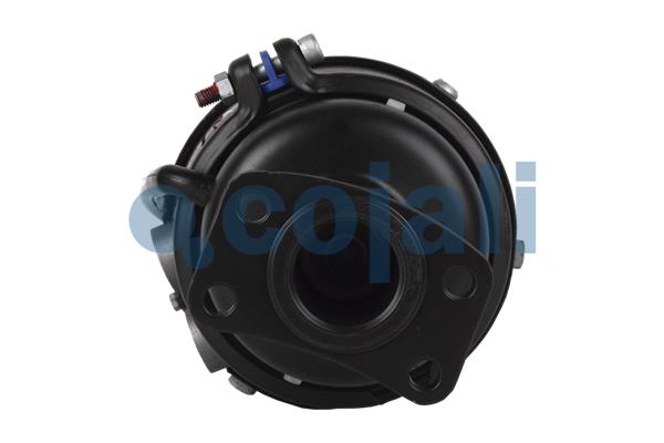 Cojali Veeraccumulator remcilinder 2351406