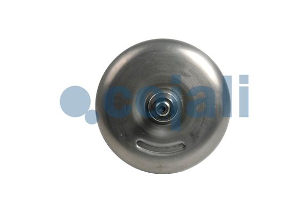 Cojali Veeraccumulator remcilinder 2351419