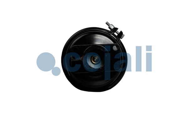 Cojali Veeraccumulator remcilinder 2351419