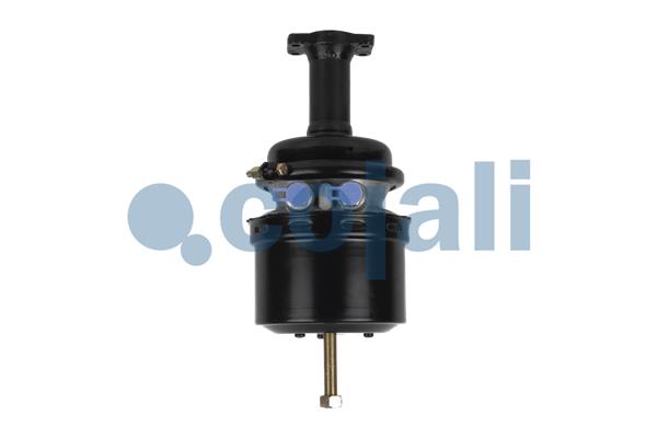 Cojali Veeraccumulator remcilinder 2351422