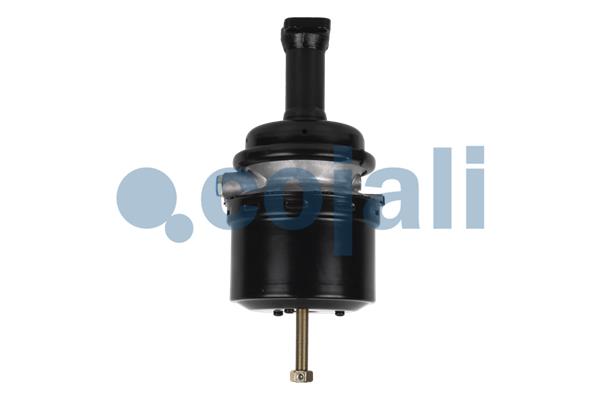 Cojali Veeraccumulator remcilinder 2351422