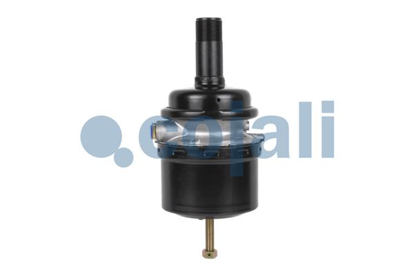 Cojali Veeraccumulator remcilinder 2351423