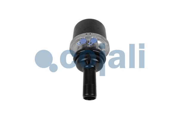 Cojali Veeraccumulator remcilinder 2351425