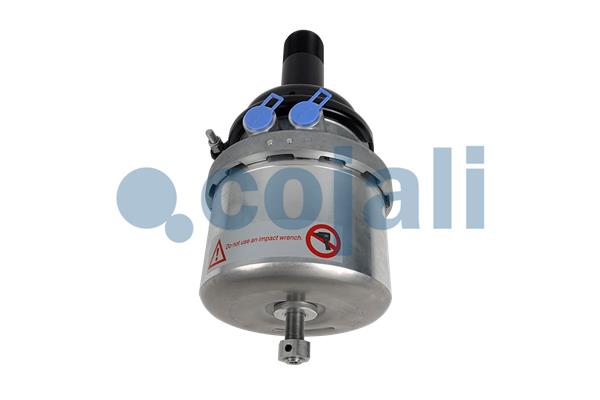 Cojali Veeraccumulator remcilinder 2351429