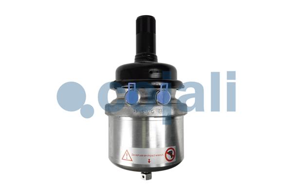 Cojali Veeraccumulator remcilinder 2351431