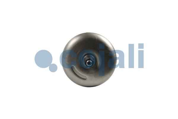 Cojali Veeraccumulator remcilinder 2351431