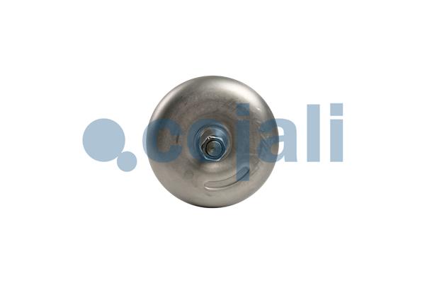 Cojali Veeraccumulator remcilinder 2351432