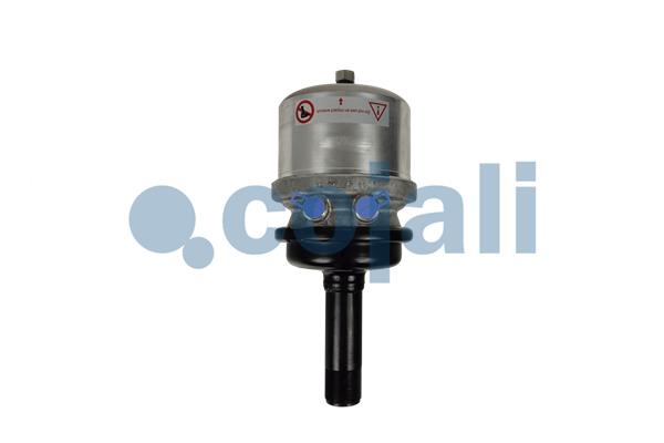 Cojali Veeraccumulator remcilinder 2351433