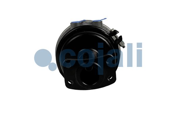 Cojali Veeraccumulator remcilinder 2351435