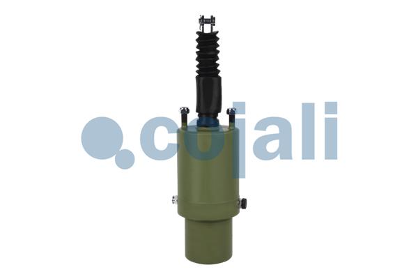 Cojali Veeraccumulator remcilinder 2351507