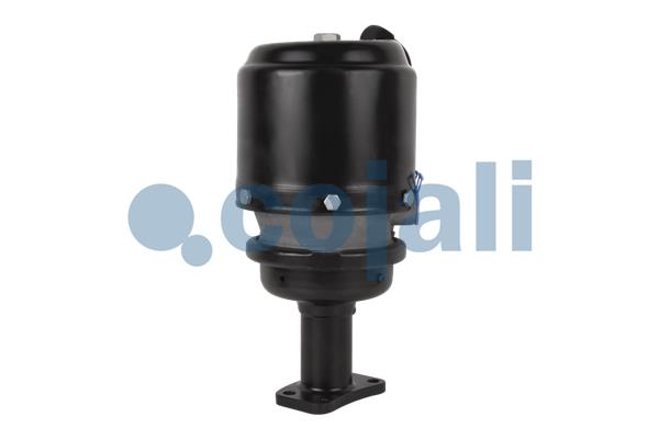 Cojali Veeraccumulator remcilinder 2351509