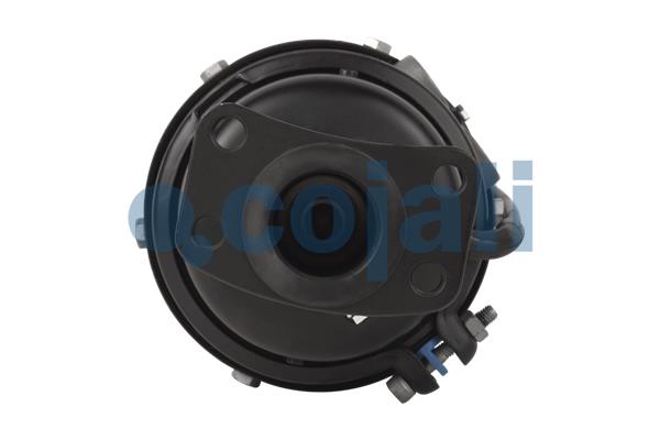 Cojali Veeraccumulator remcilinder 2351509