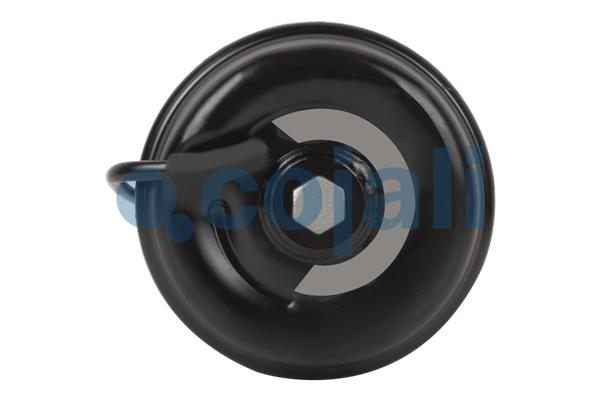 Cojali Veeraccumulator remcilinder 2351509